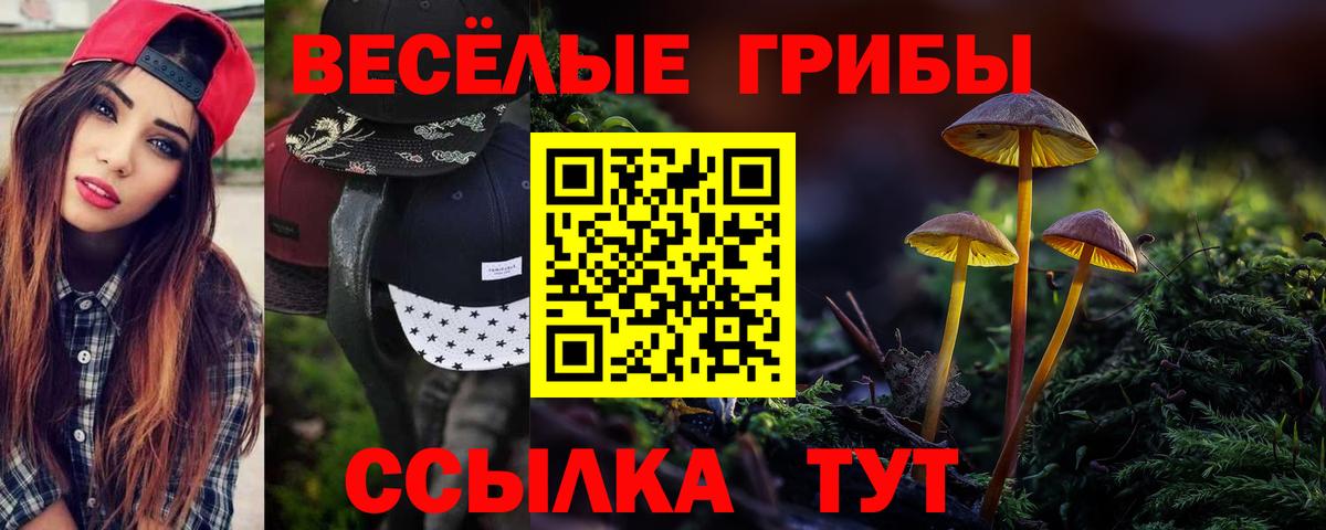 Псилоцибиновые грибы MAGIC MUSHROOMS  Вход с VPN  Псилоцибиновые грибы MAGIC MUSHROOMS  Абакан 