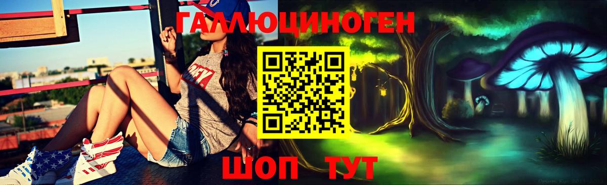 Галлюциногенные грибы мухоморы Абакан
